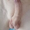 16x4