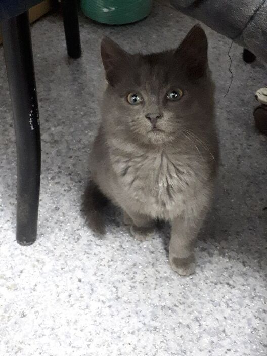 Личные фото