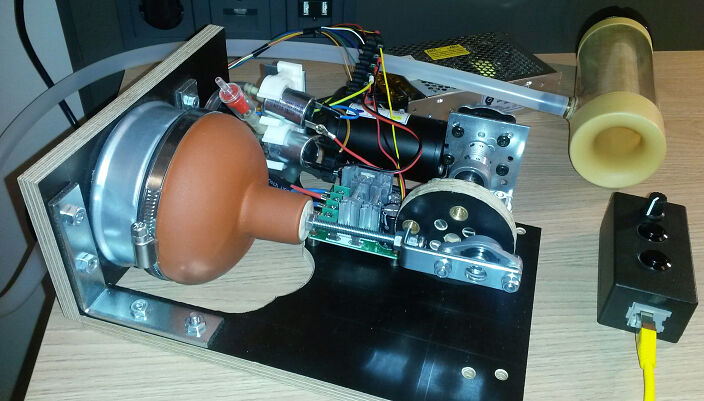 Suck Малышка :)