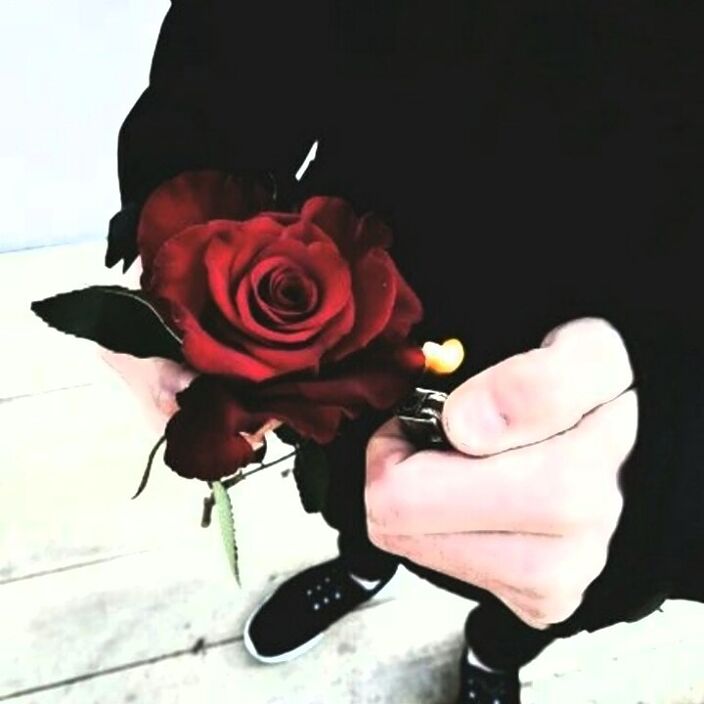 Я подарю тебе розу)