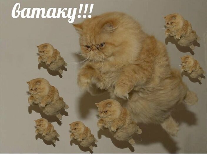 Вместо личного)