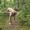 Жопа