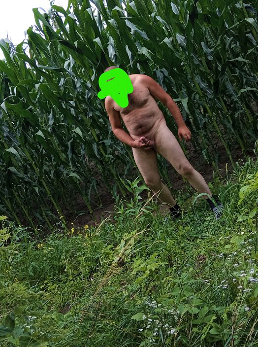 543