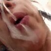 Jess