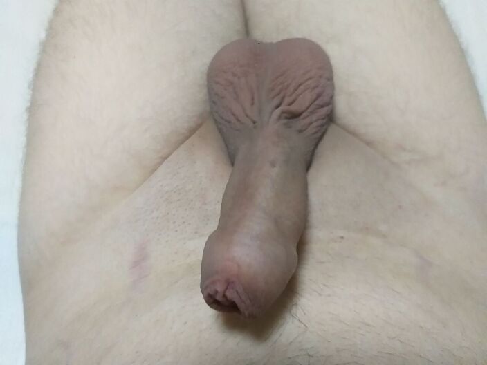 Член