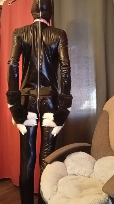 gimp
