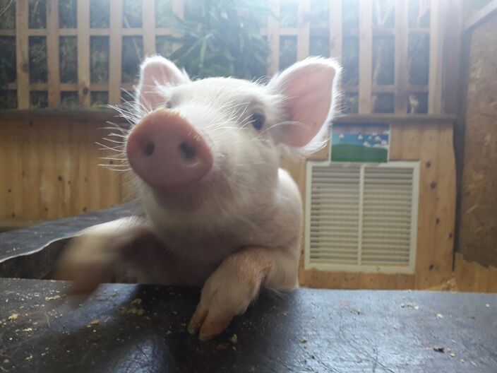 Личные фото