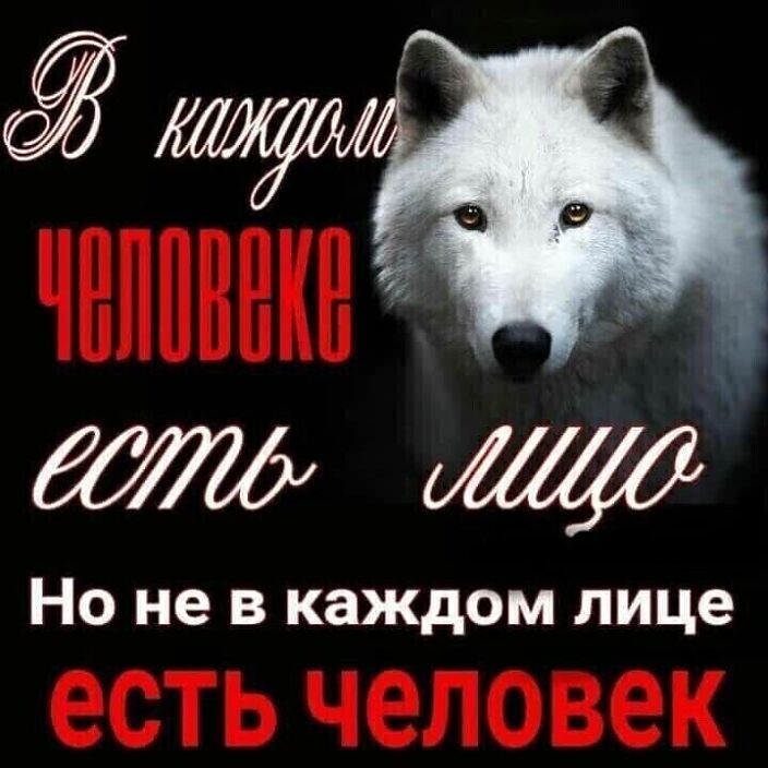Нравиться