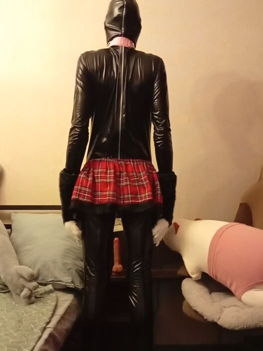 gimp