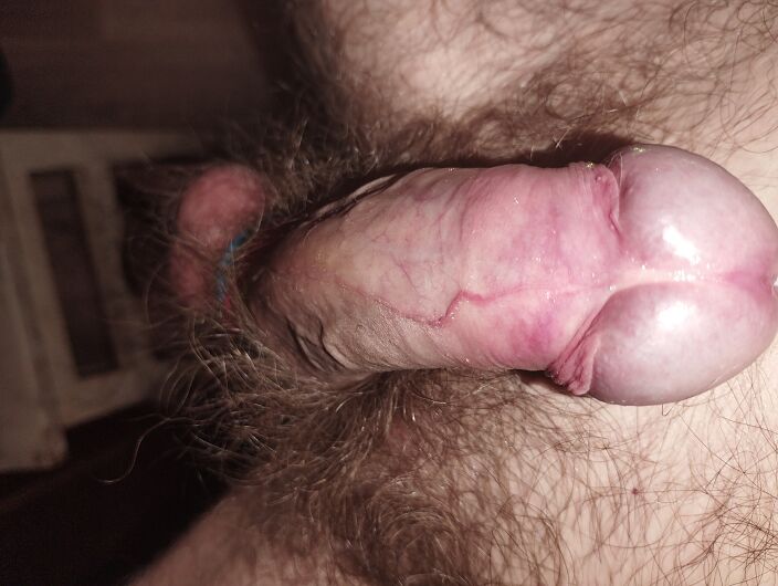 Член для пытки