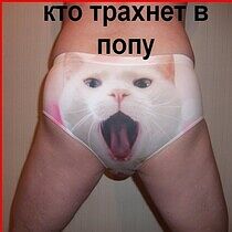 котику в попу