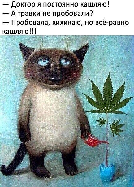 Ну как то так))