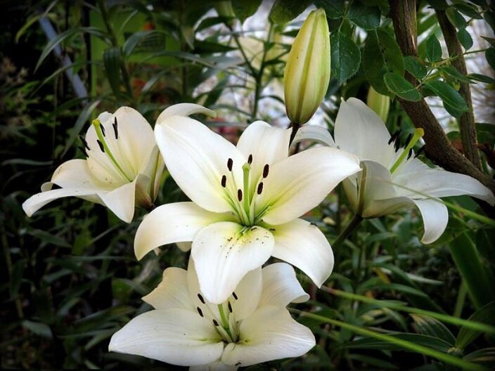 Личные фото