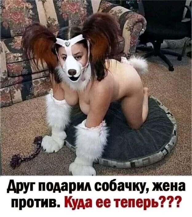 Собачка