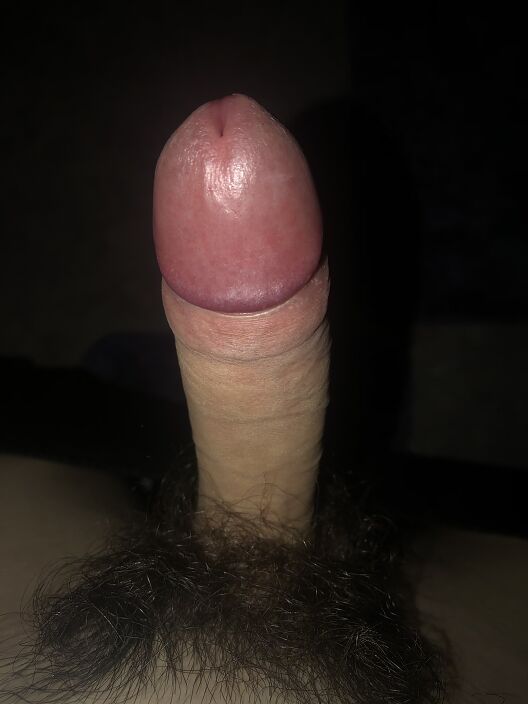 Член
