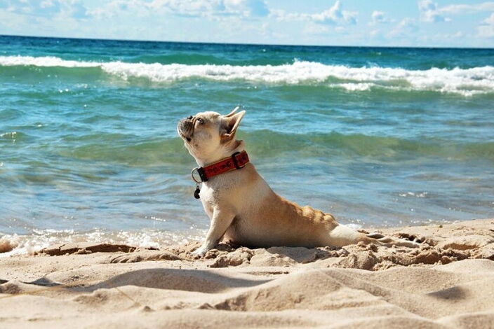 Ощущаю себя также