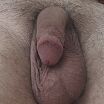 Cock