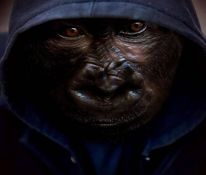 Только несерьёзные отношения