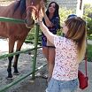 деревенские шалости