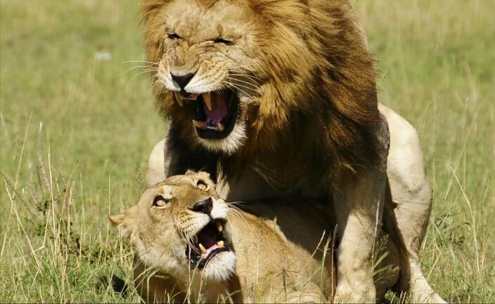 How I will be on you