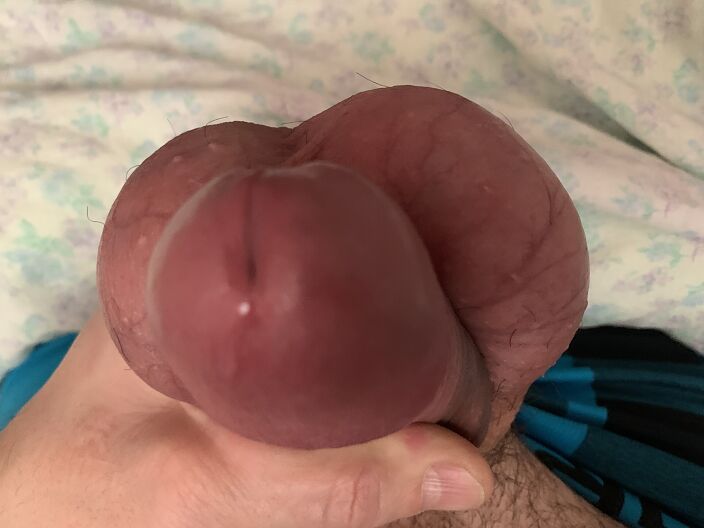 Готов к конче