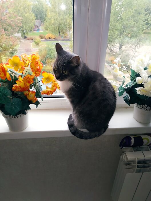 Личные фото