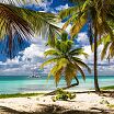 Paradise 7