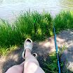Я на рыбалке без рыцаря