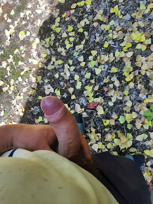 Хочу сучку