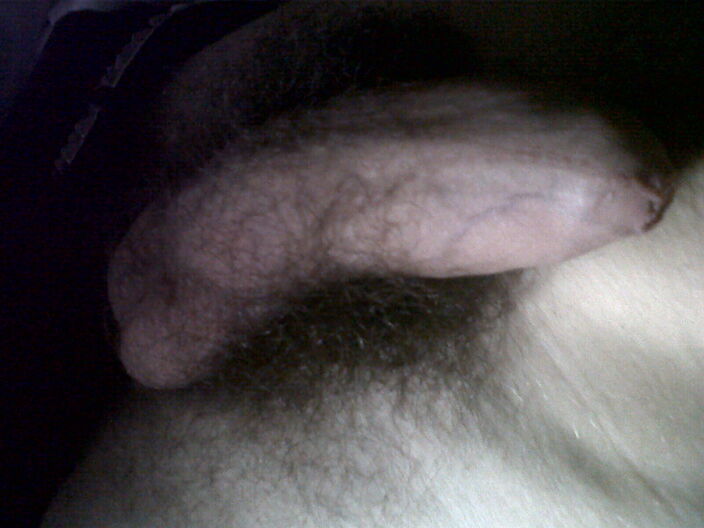 Cock