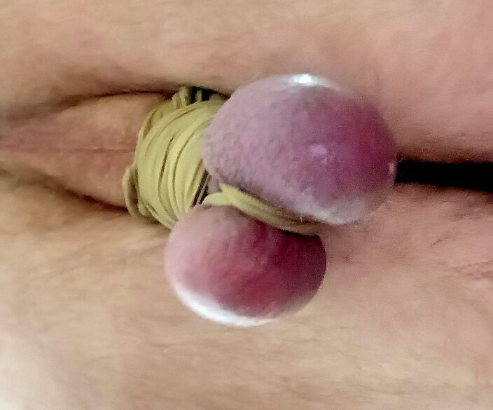 мои яички