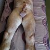 Вгостях