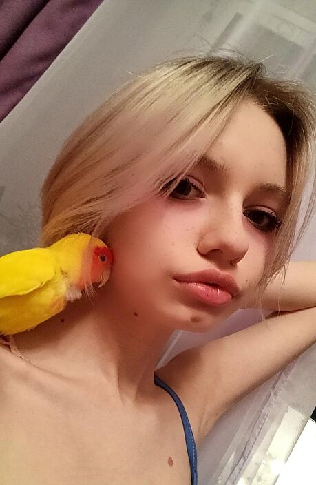 Мой любимый попугайчик