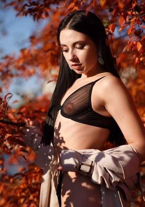 leylasugar