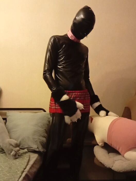 gimp