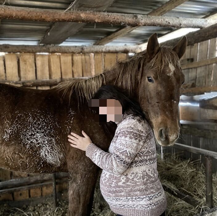 Люблю лошадей