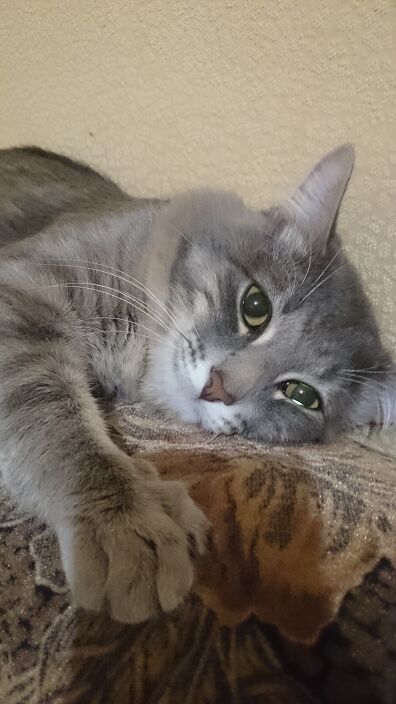 Личные фото