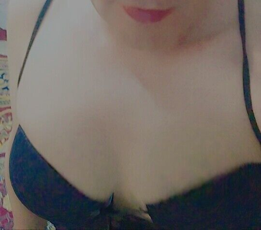 TAREK SHARMOTA EGYPT