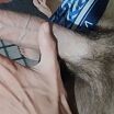 трахну твою жену.  или фембоя молодого выебу