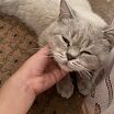 Одинокие женщины пишите.хотите куни? Только Ташкент.