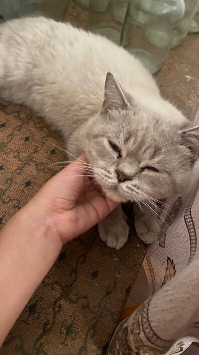 Личные фото