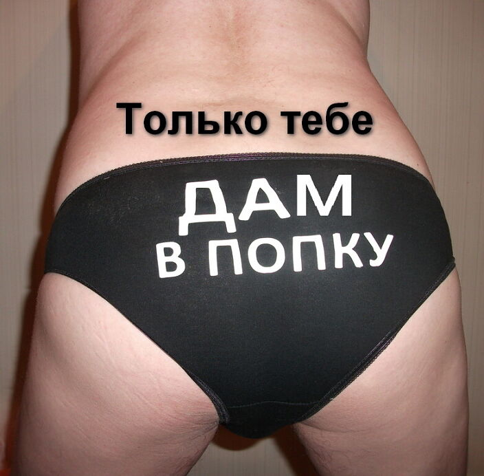 дам в