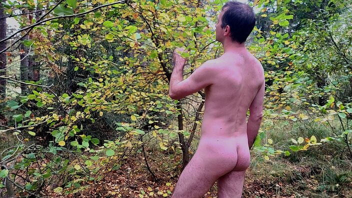 Пойдём гулять в лесу. Даже если нечего одеть