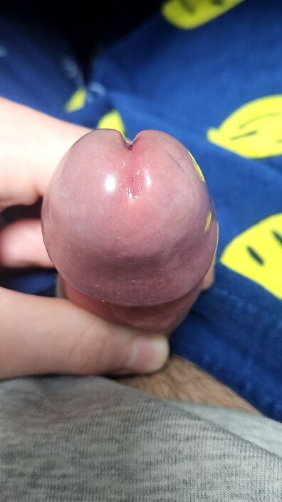 shiny cock