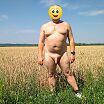 пшеничное поле