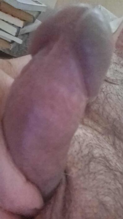 Залупа любимая