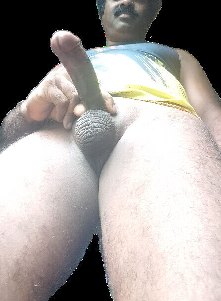 Kerala cock show