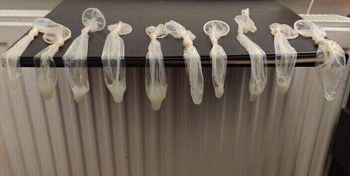 Нашли с Сашей в мусорном ведре