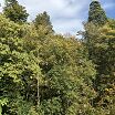 Natur