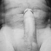 Photo 02